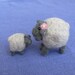 Mama and baby sheep