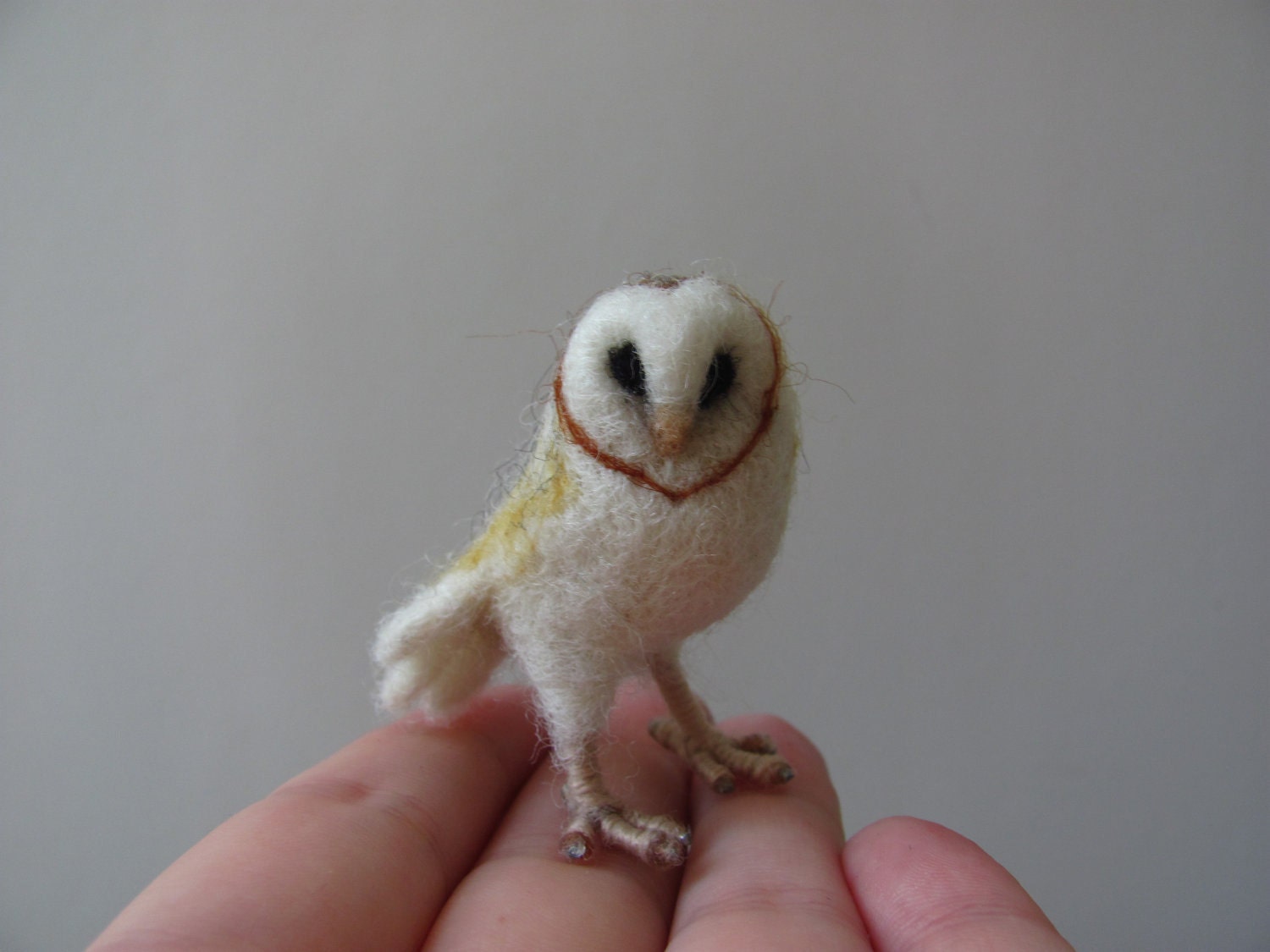 Barn owl