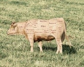Cow in the Field with Diagram Depicting the Different Cuts of Meat - Fine Art Photograph