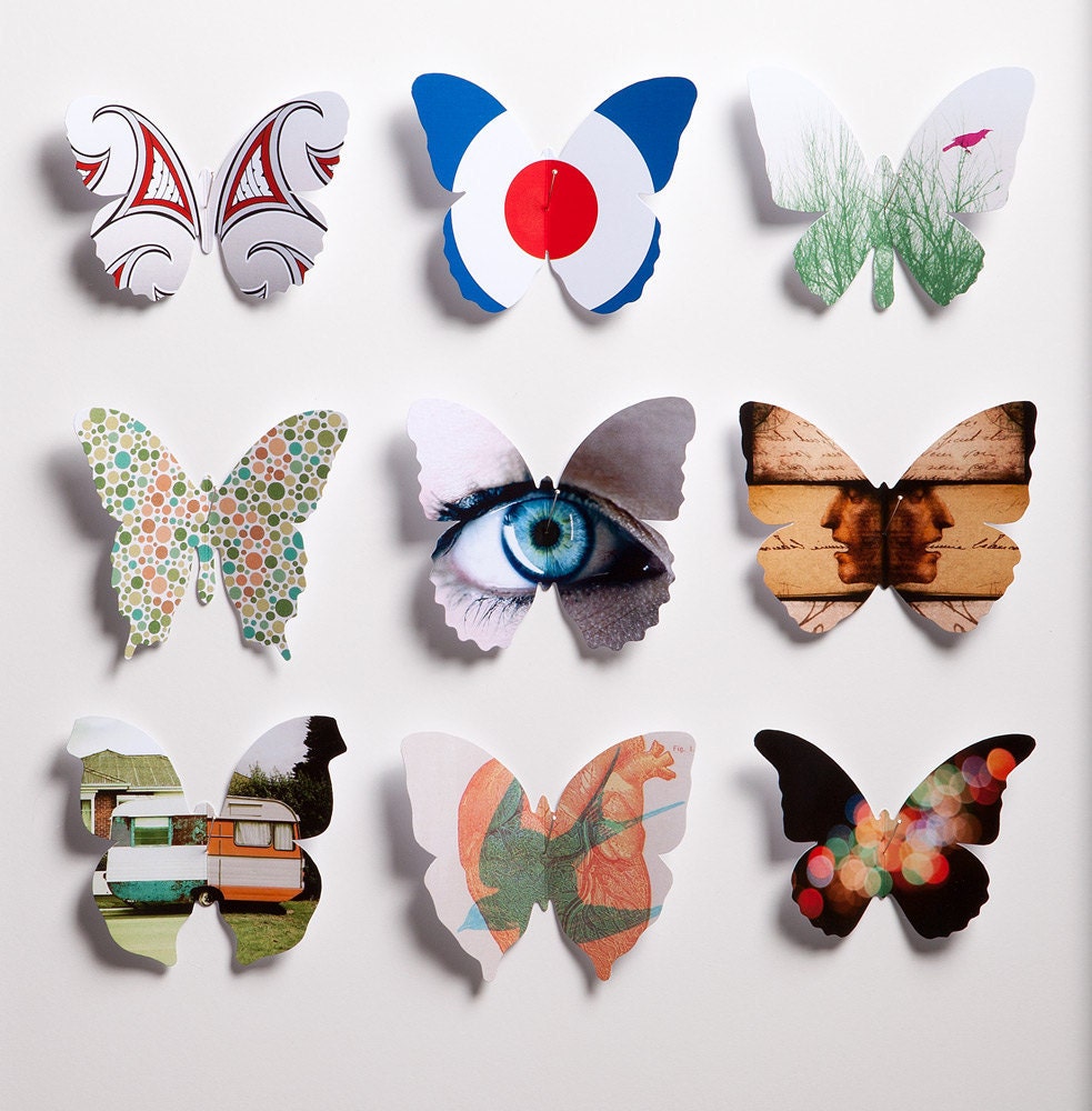 Papillons Graphiques Volume 01. The Graphic Butterfly Collection.