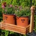 Garden Basket repurposed oak - fruits vegetables harvest rustic oak branch handle garden tool caddy gifts for gardeners gift idea