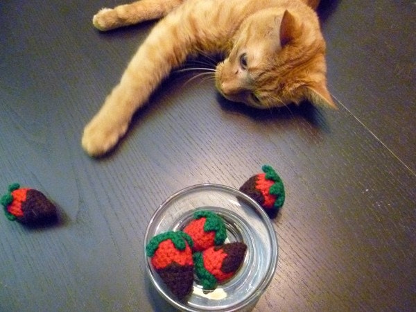 Chocolate Covered Strawberries - 3 Catnip Toys