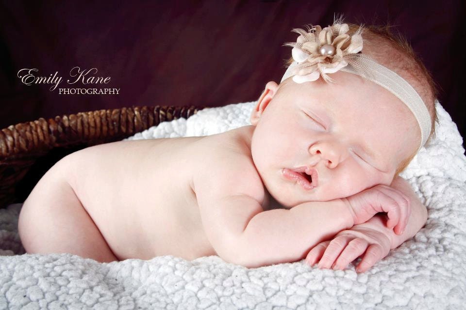 Petite Vintage Beige Flower with Feathers and Pearl on Champagne Elastic Headband (Newborn, Toddler, Child, Adult)  Photo Prop, Wedding