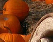banner, etsy banner, seasonal banner - thanksgiving, halloween, pumpkins, wagon