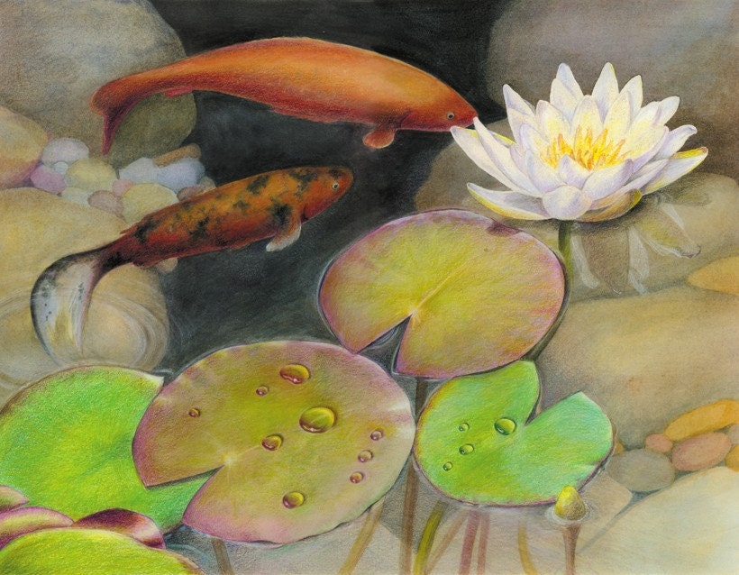 Pond with orange koi goldfish and green lily pads with white flowers, quiet and peaceful - Art Reproduction (Print) - "Koi"