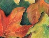 Maple leaves in fall colors of orange and yellow with a red ladybug - Art Reproduction (Print) - "Autumn Leaves"