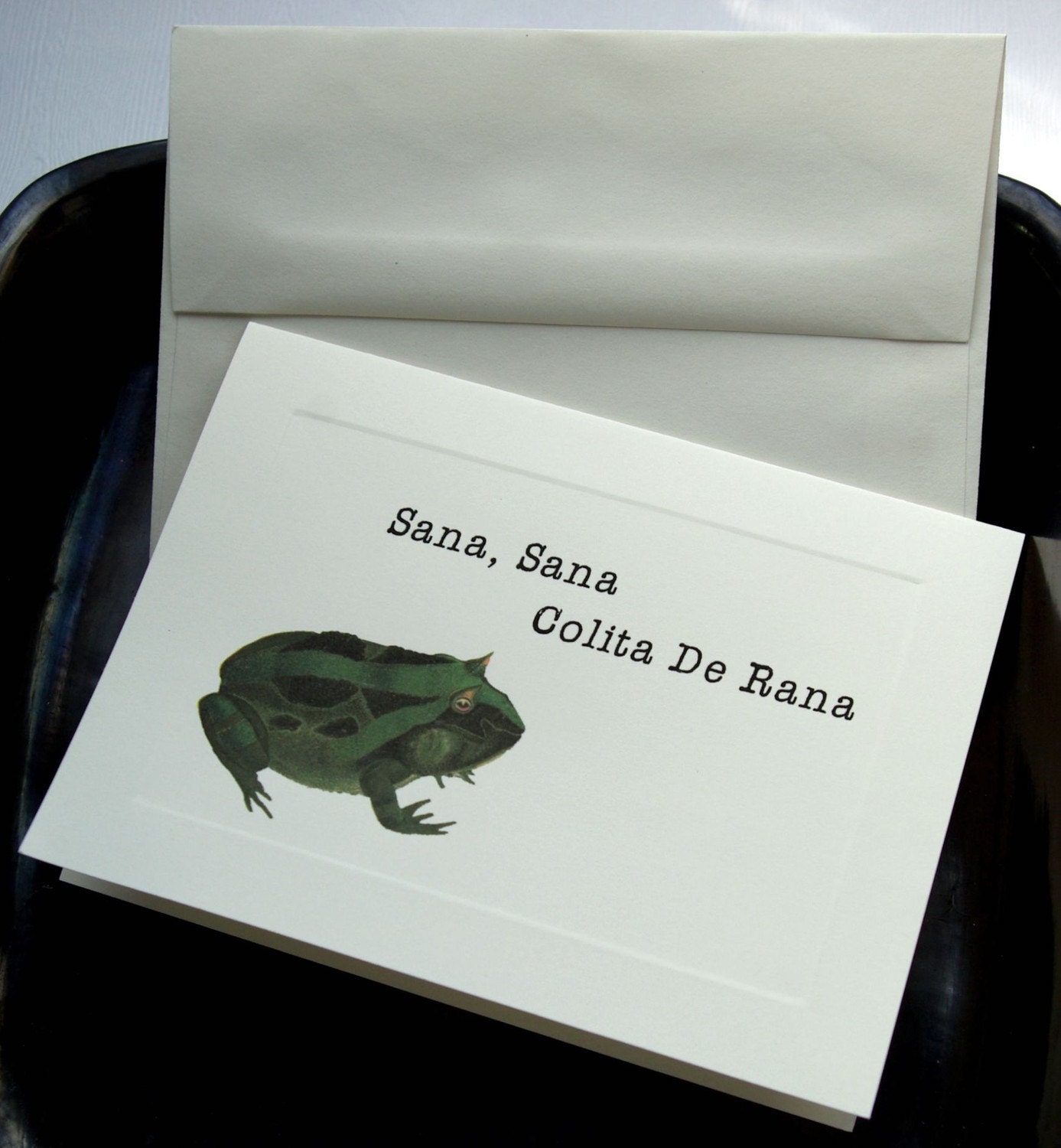 Feeling Kinda Froggy Note Card-Get Well Soon-With Fly