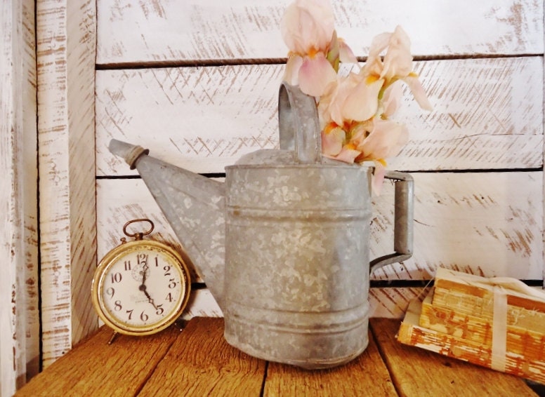 Old Watering Can - Rustic Farmhouse Charm - Indoor or Outdoor Flower Pot - KnickofTime