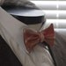 The Gammon - Our cotton bowtie in BACON