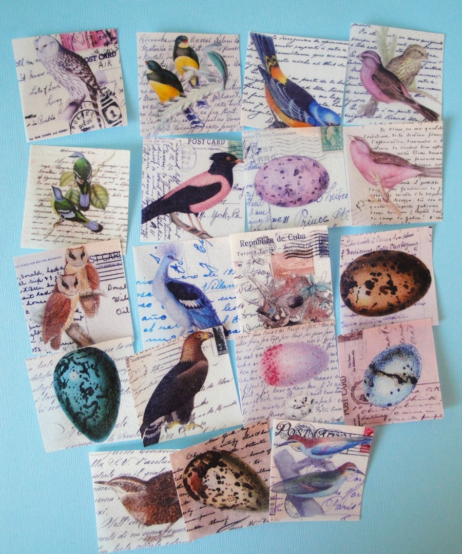 Vintage Botanical Bird Print edible image wafer papers for cookies, fondant and chocolates