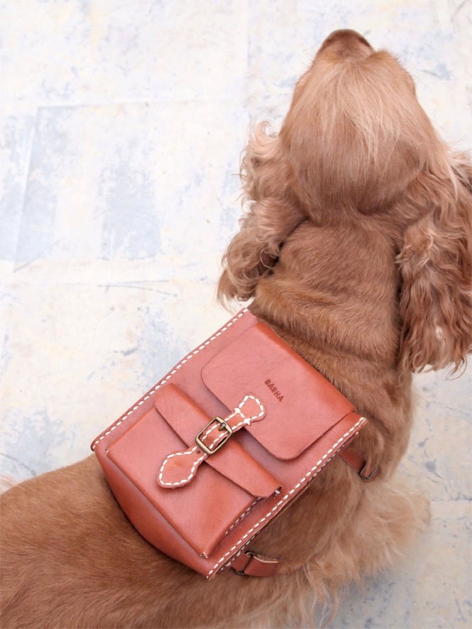Personalized Dog Backpack - Leather - Hand Stitched