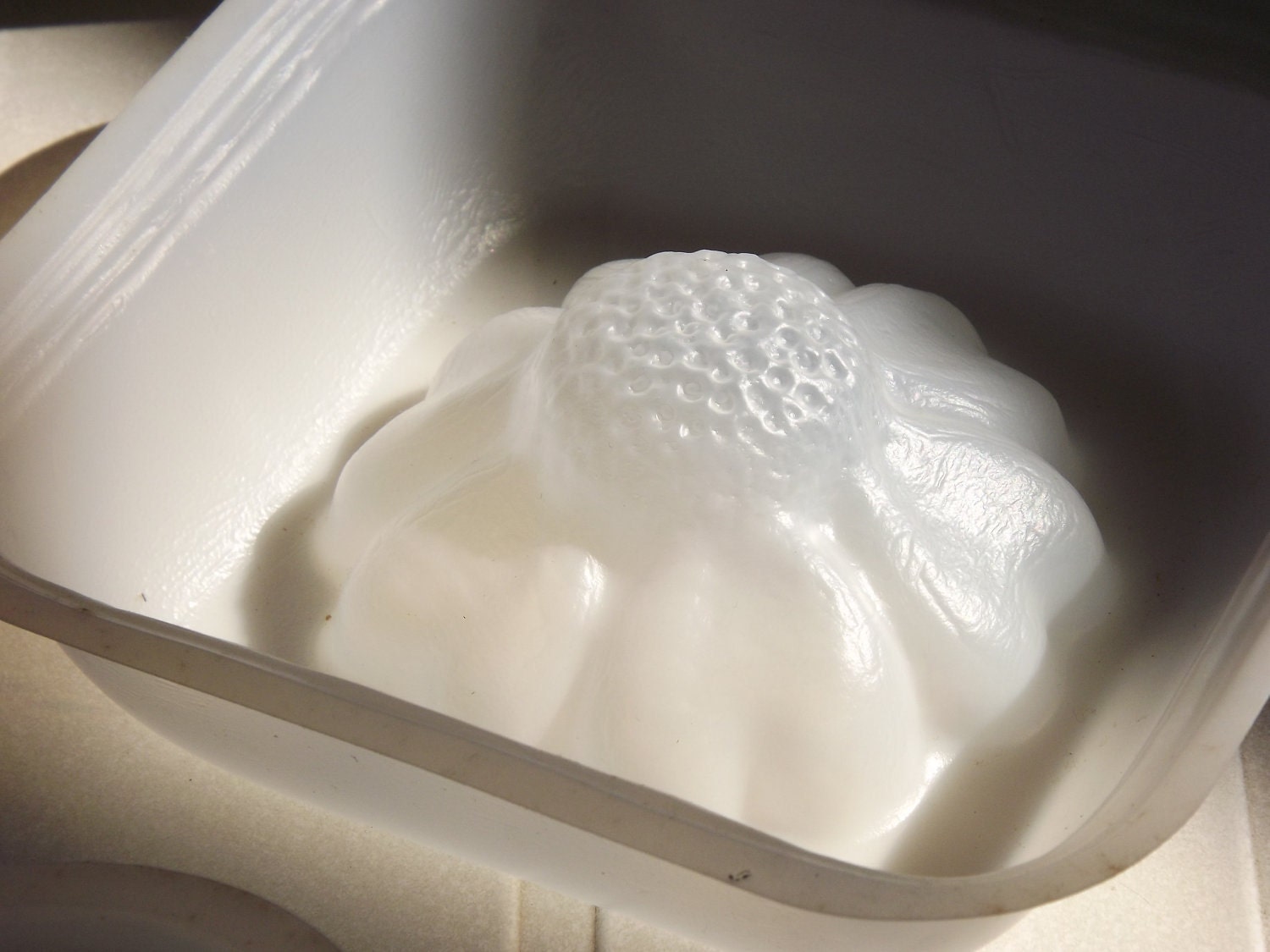 Vintage Large Plastic Flower Jelly Molds