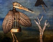 The Birdcage Man 5x7 Inch Fine Art Print