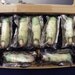 Zombie Finger Shortbread Cookies