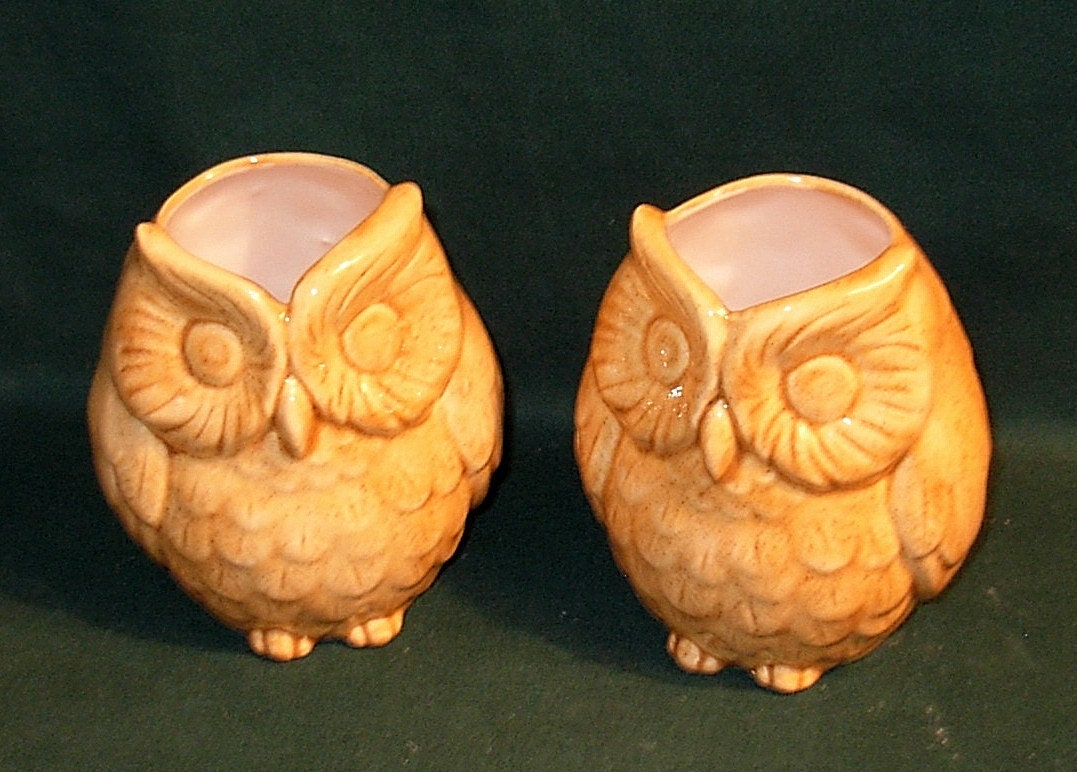 Hootie - Ceramic Owl Vases / Planter  (Set)  -  Ginger Spice