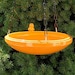 Hanging Bird Feeder
