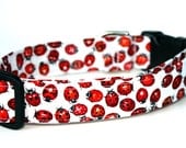 Dog Collar - Lady Bug Collar