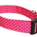 Dog Collar - Strawberry Shortcake - Pink & White Polka Dots