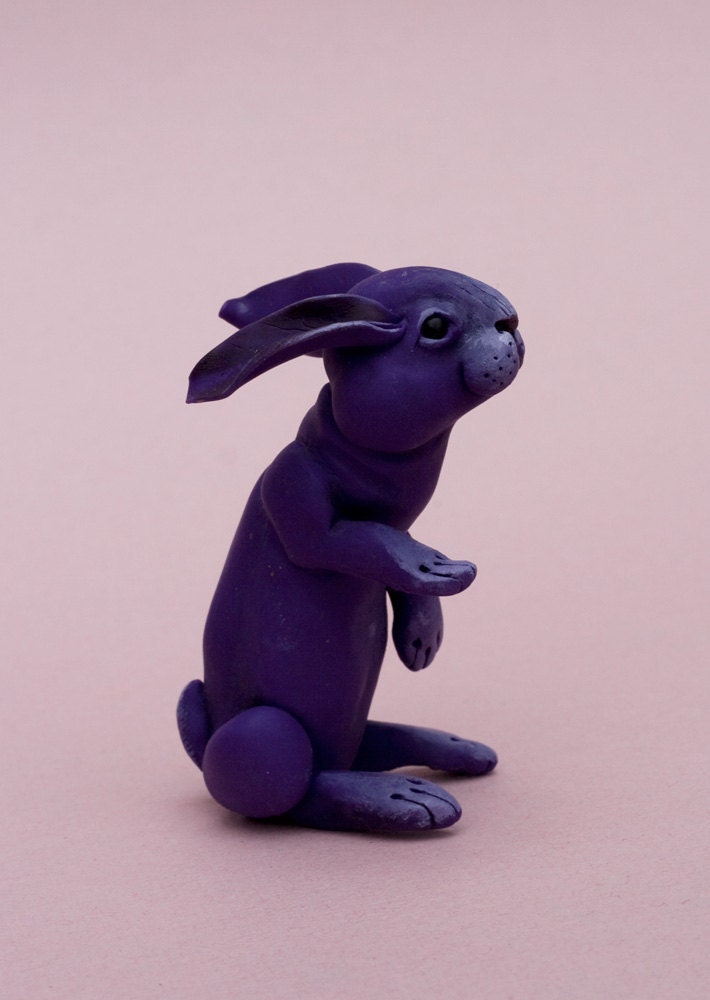 purple hare