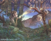 Dawn Fairy 8.5x11 Signed Print with Story Included