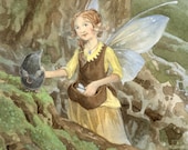 New Wings Mole and Fairy 8.5 x11 Print
