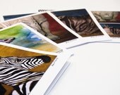 Safari Greeting Cards - set of 6
