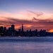 San Francisco Swirls - 5 x 7