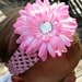 Baby Girl First Birthday Tutu Outfit with Headband and Flower Clip