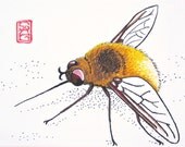 ACEO Fuzzy Bee Fly - Bug Art Archival Print - Watercolor Insect Art