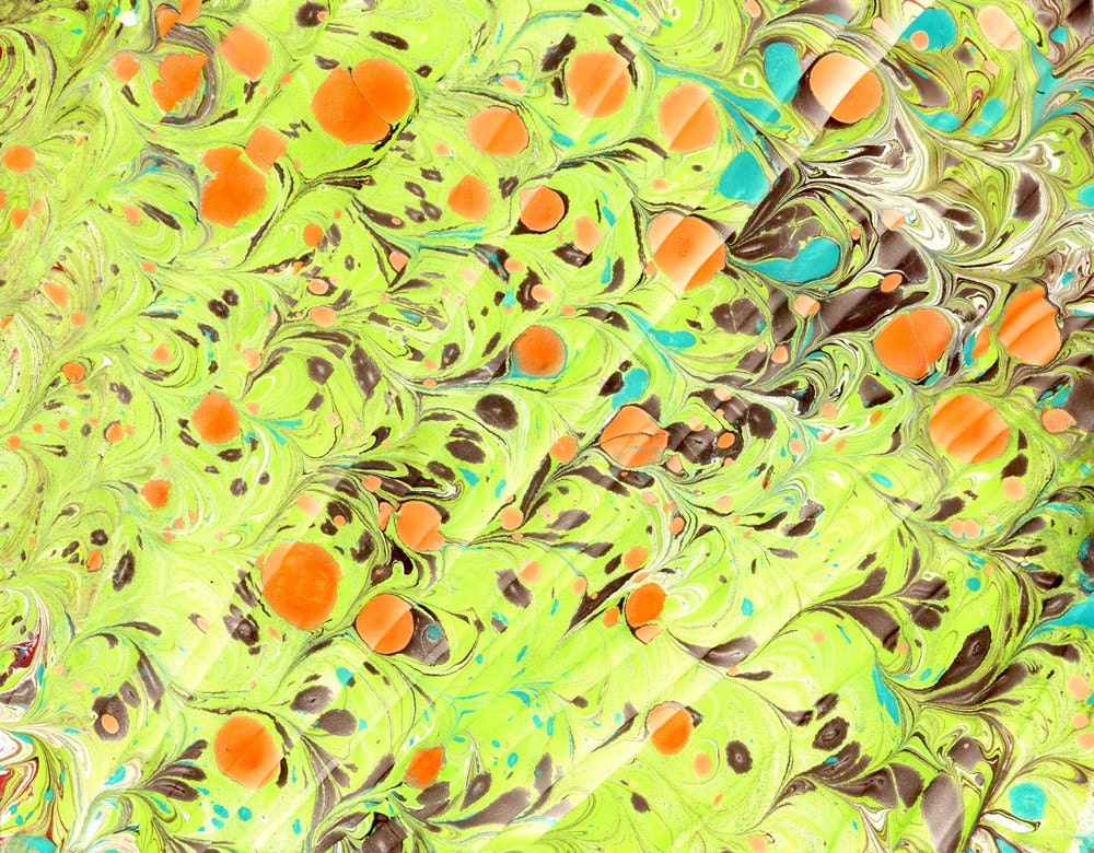 Lizard Chicken Pox