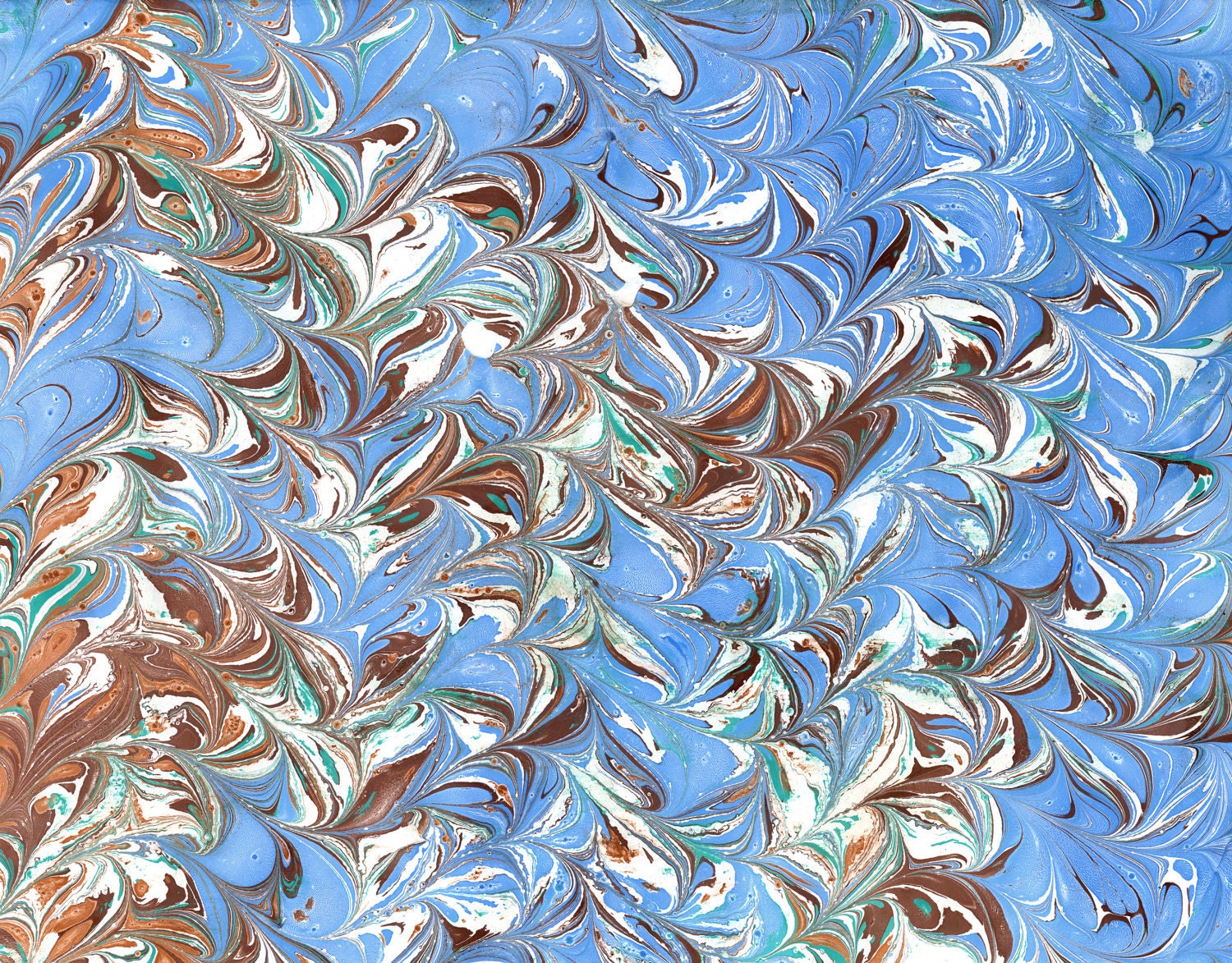 Choppy Agua