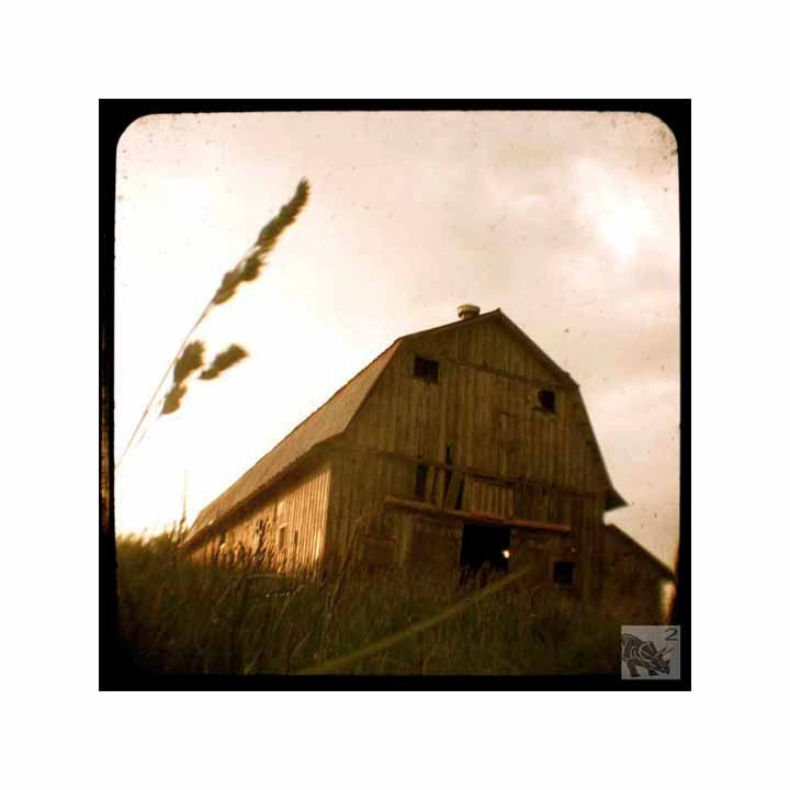 last.lights.gleaming (5 x 5 Art Print)