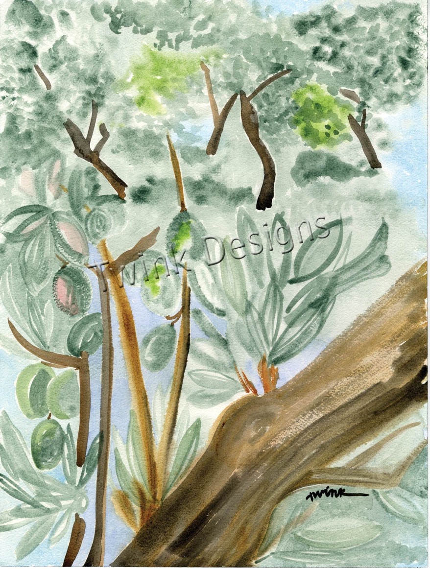 Sicilian Olive Grove watercolored notecardOB204 - 4 5/8 X 6 3/8