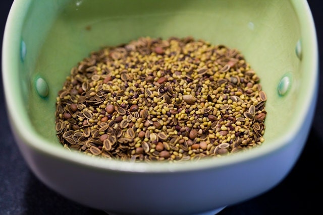 Sprouts - Dill Salad Mix Organic Sprout Seeds - 4 oz.