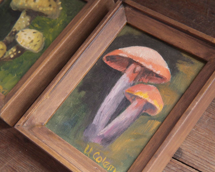 Vintage Paintings - Pair of Miniature Mushroom Still Life Paintings in Wood Frames