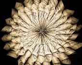 Circle of Music 8x8 Fine Art Photography by Kate Sexson
