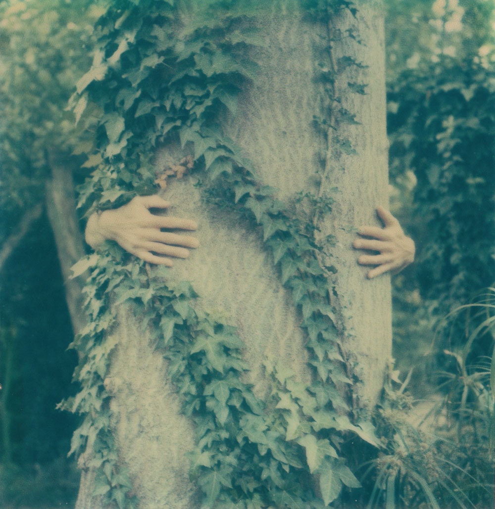 Hug A Tree - Original Signed Fine Art Photograph
