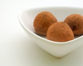 Dark Chocolate Pumpkin and Spice Truffles (16 count) - estheraguirre