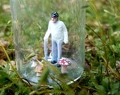 Mushroom picker