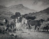 Antique Cattle Print, Van Marcke