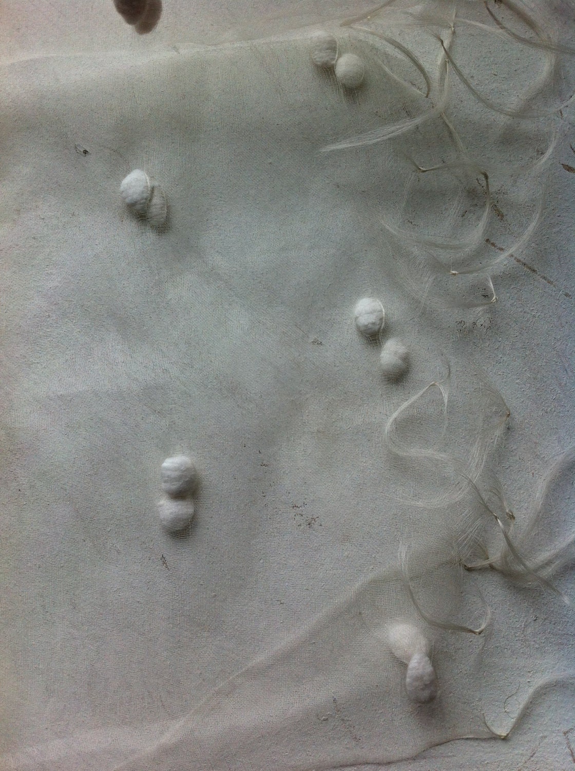 Undyed handwoven organza silk shawl with cotton balls. RESERVED for Anna.