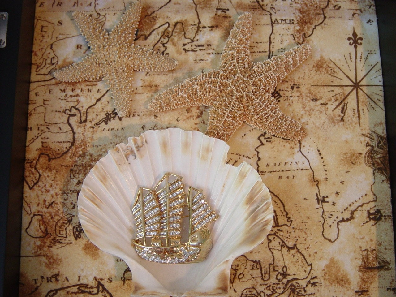 Beach Decor, Sea Shell Shadow Box, Coastal Shadox Box Decor, Bon Voyage Nautical Shadow Box