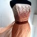 Vintage Prom Gown Embroidered Chiffon with bustle train 1960s size small