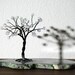 Lunar Energy Moonstones Handmade Sculpture Wire Tree
