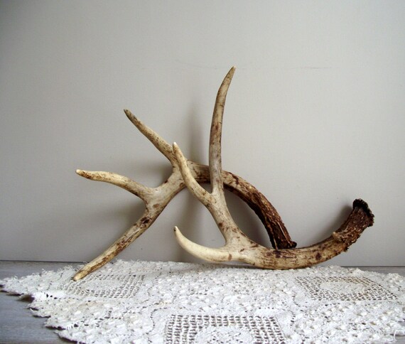 Reserve listing for 3littletrees Only Deer Antlers Vintage Matching Pair Woodland Cabin Cottage Decor Natural Rustic Decor