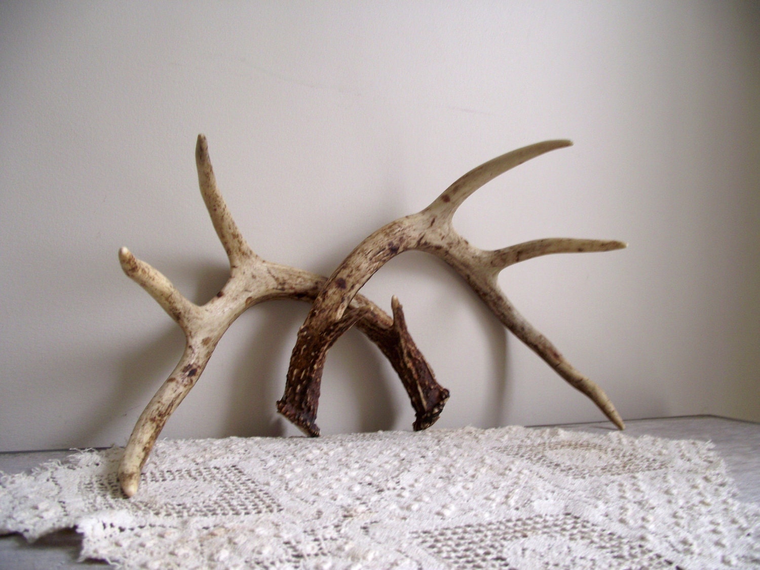 Reserve listing for 3littletrees Only Deer Antlers Vintage Matching Pair Woodland Cabin Cottage Decor Natural Rustic Decor