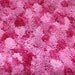 Pink Pom Pom Scarf