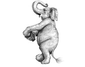 5x7 Giclee Print Delacorte Clock Musical Elephant with Accordion pencil illustration