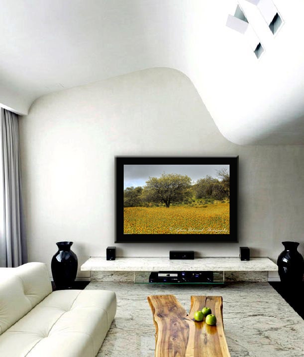 Landscape Photography Nature Photograph Spring Yellow Wall Art Three 4x6 Fine Art Photography Print