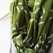 INFINITY SCARF - Screen Printed - White Cross-Diamonds on Olive Green